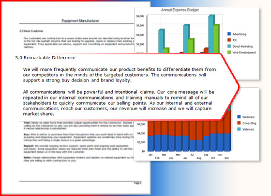 Sales & Marketing Plans